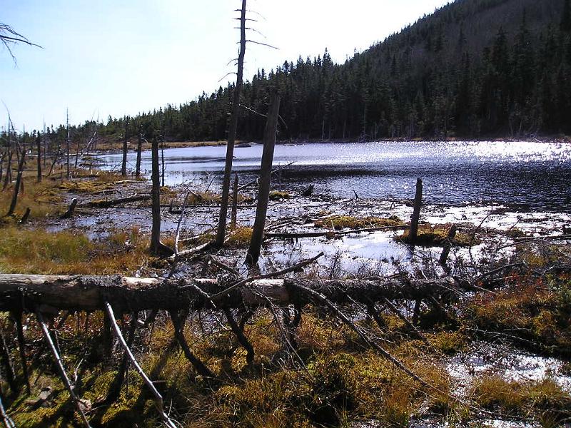 Zeacliff (36).JPG - Zealand pond